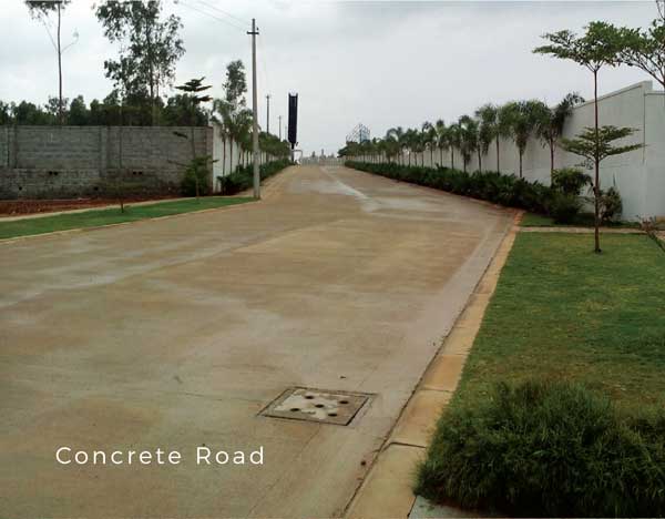 Concreate Road